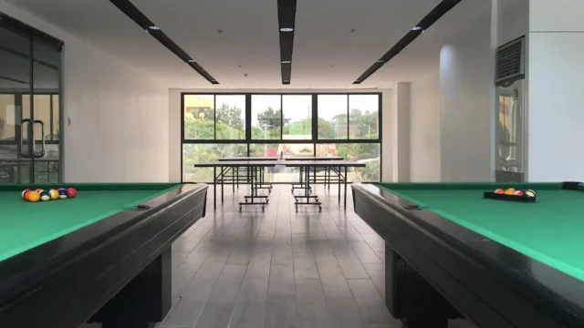 英式撞球+乒乓球桌