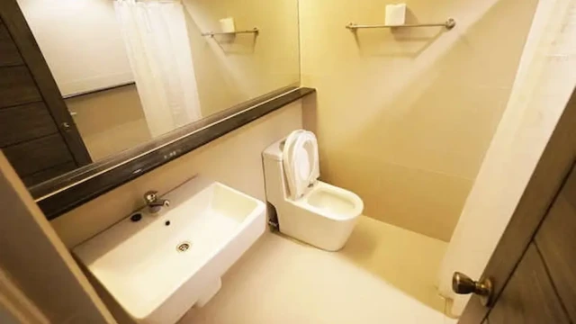 盥洗室/廁所