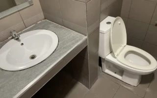 盥洗室/廁所
