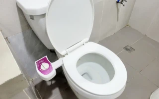 衛洗麗馬桶