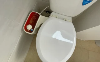 帶衛洗麗