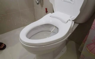 帶衛洗麗的廁所